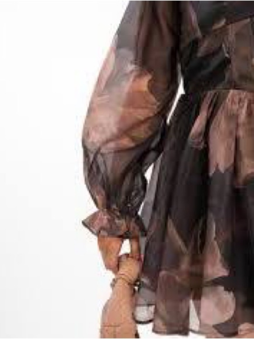Vici Promesa Sheer Floral Puff-Sleeve Mini Dress - Black & Brown - Picture 4 of 5
